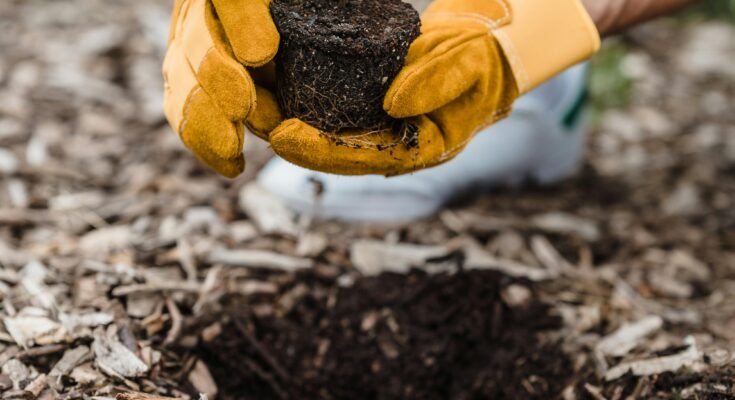 The Importance of Protecting Our Environment